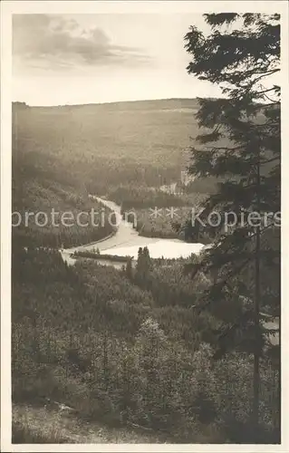 Erlbach Vogtland Flossteich im Landesgemeindetal Kat. Erlbach Vogtland