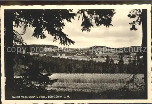 Vogelsgruen Panorama Kat. Auerbach