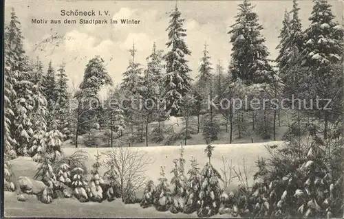 Schoeneck Vogtland Motiv aus dem Stadtpark im Winter Kat. Schoeneck Vogtland