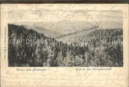 Schoeneck Vogtland Blick in das Wuerschnitsthal Kat. Schoeneck Vogtland