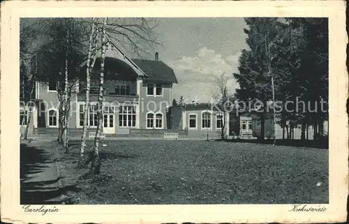 Carolagruen Heilstaette Krokuswiese Kat. Schoenheide Erzgebirge