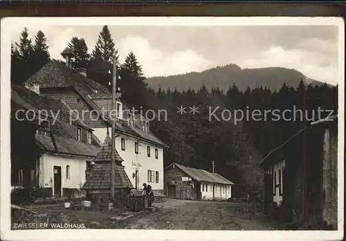 Ludwigsthal Gasthof Zwieseler Waldhaus am Falkenstein Bayerischer Wald Kat. Lindberg