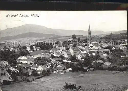 Zwiesel Niederbayern Ortsansicht mit Kirche Bayerischer Wald Kat. Zwiesel