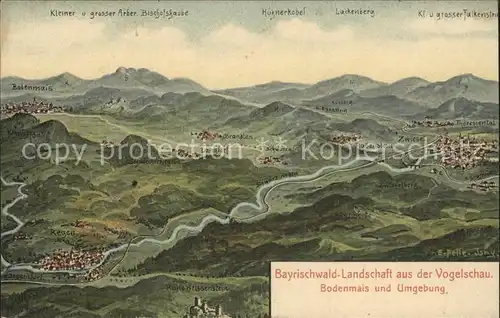 Bodenmais Bayrischwald Landschaft aus der Vogelschau Kat. Bodenmais