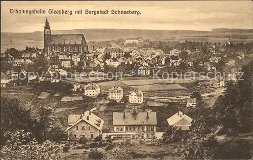 Schneeberg Erzgebirge Erholungsheim Gleesberg mit Blick zur Bergstadt Kirche Bahnpost Kat. Schneeberg