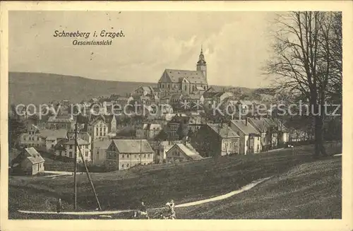 Schneeberg Erzgebirge Ortsansicht mit Kirche Kat. Schneeberg