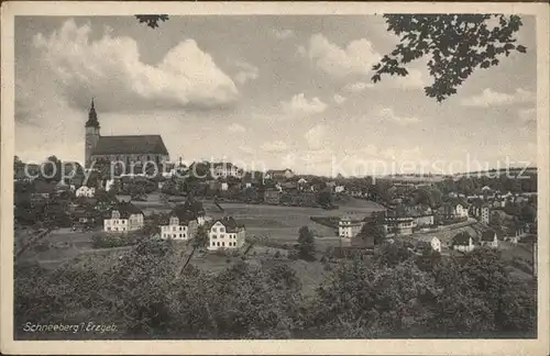 Schneeberg Erzgebirge Ortsansicht mit Kirche Kat. Schneeberg