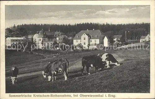 Kretscham Rothensehma Teilansicht Viehweide Kuehe Kat. Oberwiesenthal