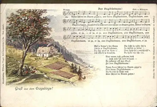 Oberwiesenthal Erzgebirge Bauernhaus Lied Dar Vuglbaerbaam Noten Kuenstlerkarte Kat. Oberwiesenthal