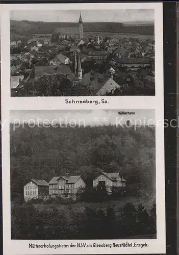 Schneeberg Erzgebirge Ortsansicht mit Kirche Muettererholungsheim der NSV Gleesberg Koehlerturm Kat. Schneeberg