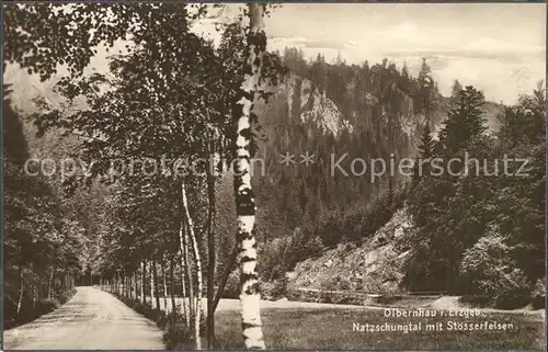 Olbernhau Erzgebirge Natzschungtal Stoesserfelsen Kat. Olbernhau