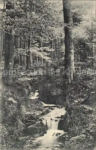 Olbernhau Erzgebirge Wasserfall Fuchsstein Rungstocktal Kat. Olbernhau