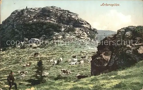 Zwiesel Niederbayern Arberspitze Kat. Zwiesel