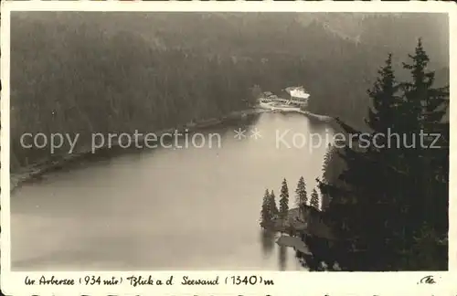 Bayerisch Eisenstein Seewand Arbersee Kat. Bayerisch Eisenstein