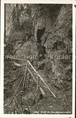 Bayerisch Eisenstein Arberseewand Kat. Bayerisch Eisenstein