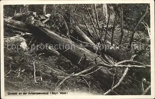 Bayerisch Eisenstein Arberseewand Kat. Bayerisch Eisenstein