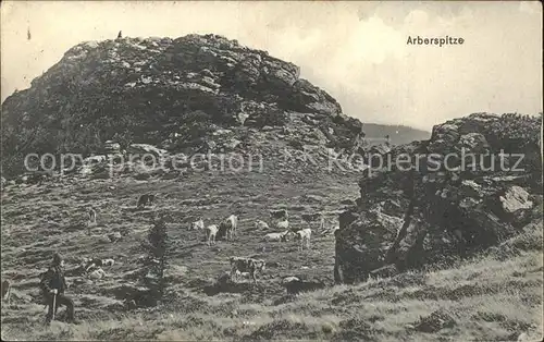 Bayrisch Eisenstein Arbergipfel Kat. Bayerisch Eisenstein