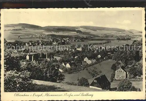 Olbernhau Erzgebirge Blumenmauer Strassse Kat. Olbernhau