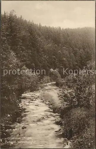 Olbernhau Erzgebirge Partie im Naturschutzgebiet Kat. Olbernhau