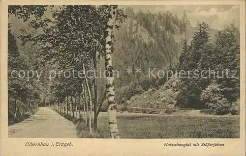 Olbernhau Erzgebirge Natzschungtal mit Stoesserfelsen Kat. Olbernhau