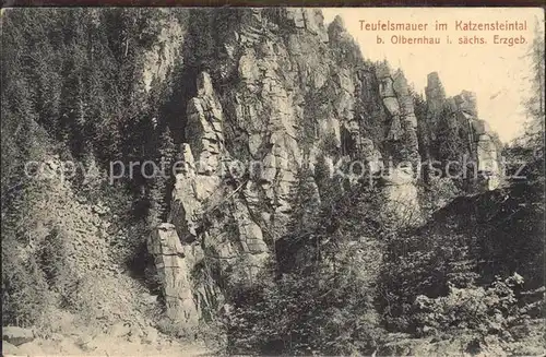 Olbernhau Erzgebirge Teufelsmauer im Katzensteintal Kat. Olbernhau