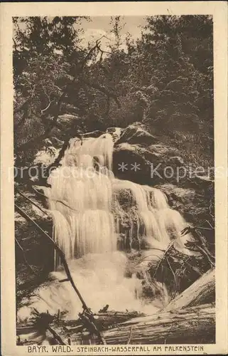 Zwiesel Niederbayern Steinbach  Wasserfall Falkenstein Kat. Zwiesel