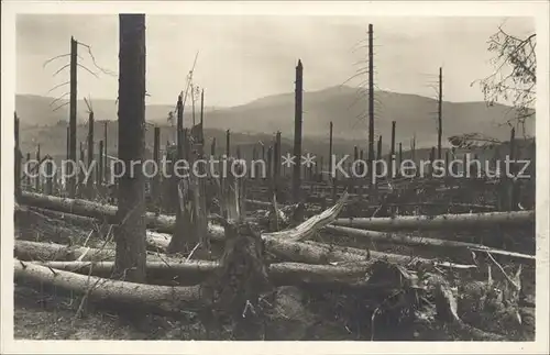 Zwiesel Niederbayern Zerstoerter Wald Orkan 1929 Kat. Zwiesel