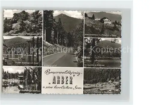 Bayrisch Eisenstein Arbersee Abergipfel Richard Wagnerkopf Seehaus Kat. Bayerisch Eisenstein