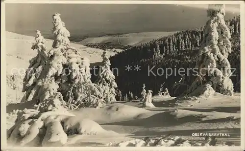 Oberwiesenthal Erzgebirge Winteridyll Kat. Oberwiesenthal