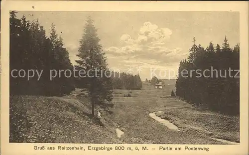 Reitzenhain Erzgebirge Partie am Poetenweg Kat. Marienberg