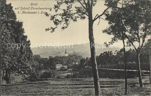 Neuhausen Erzgebirge Panorama mit Schloss Purschenstein Kat. Neuhausen Erzgebirge