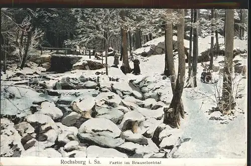 Rochsburg Partie im Brauselochtal im Winter Kat. Lunzenau