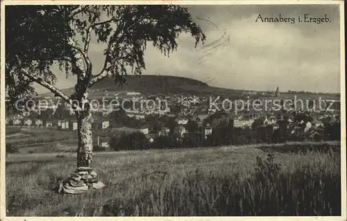 Annaberg Buchholz Erzgebirge Panorama Kat. Annaberg