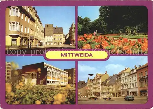 Mittweida Markt Am Schwanenteich Poliklinik Kat. Mittweida