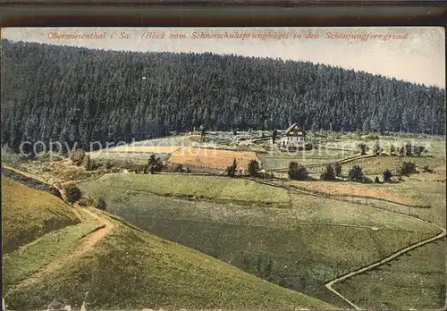 Oberwiesenthal Erzgebirge Blick in den Schoenjungferngrund Kat. Oberwiesenthal