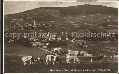 Oberwiesenthal Erzgebirge mit Unter und Boehmisch Wiesenthal und Fichtelberg Kat. Oberwiesenthal