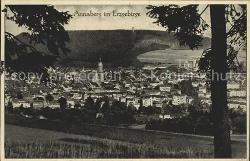 Annaberg Buchholz Erzgebirge Totalansicht Kat. Annaberg