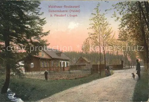 Neudorf Erzgebirge Waldhaus  Restaurant Siebensaeuere Kat. Oberwiesenthal