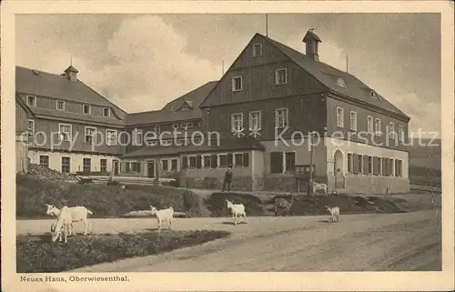 Oberwiesenthal Erzgebirge Neues Haus Kat. Oberwiesenthal