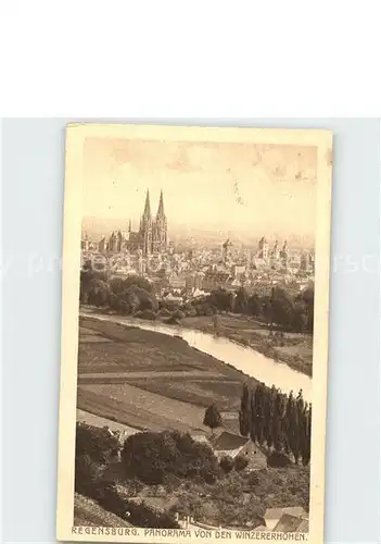 Regensburg Panorama mit Dom von den Winzererhoehen Kat. Regensburg