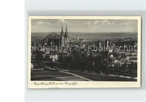 Regensburg Blick von den Winzerhoehen mit Dom Kat. Regensburg