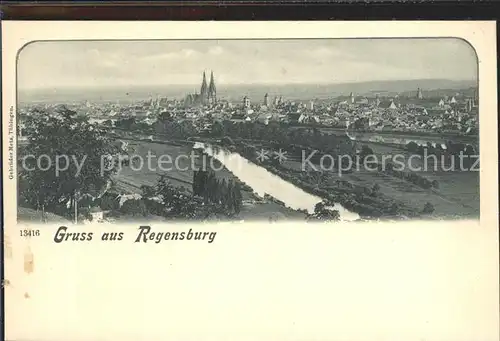 Regensburg Stadtblick mit Dom / Regensburg /Regensburg LKR