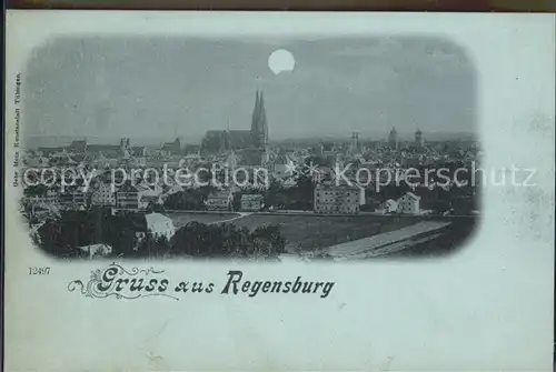 Regensburg Stadt mit Dom / Regensburg /Regensburg LKR