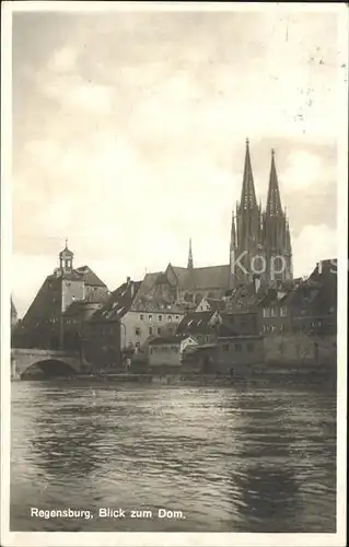 Regensburg Blick zum Dom / Regensburg /Regensburg LKR