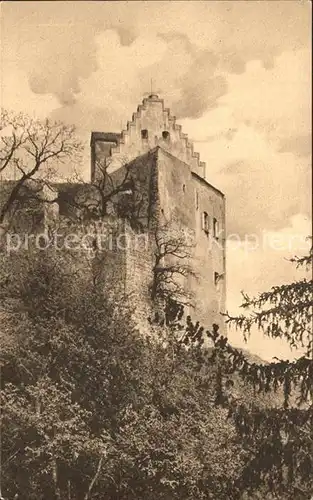 Riedenburg Altmuehltal Die Rosenburg Kat. Riedenburg