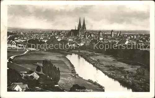 Regensburg Panorama mit Dom / Regensburg /Regensburg LKR