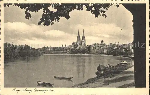 Regensburg Donaupartie mit Dom / Regensburg /Regensburg LKR