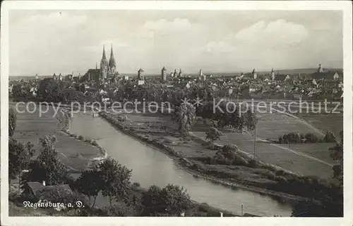 Regensburg Panorama mit Dom / Regensburg /Regensburg LKR