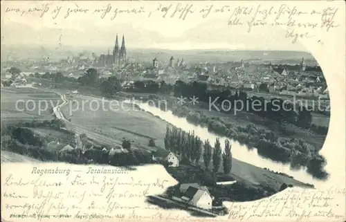 Regensburg Panorama mit Dom / Regensburg /Regensburg LKR