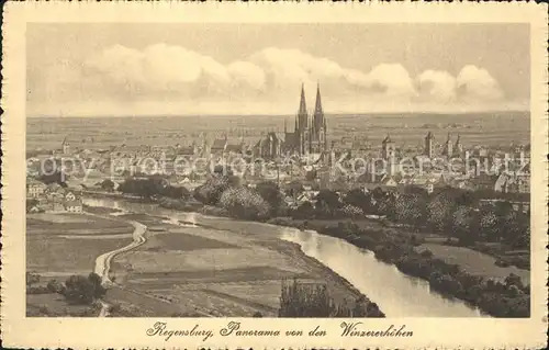 Regensburg Panorama von den Winzererhoehen mit Dom / Regensburg /Regensburg LKR